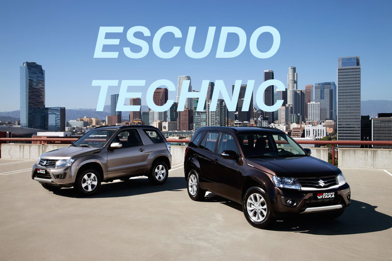 Новая система мотивации-escudo-technic